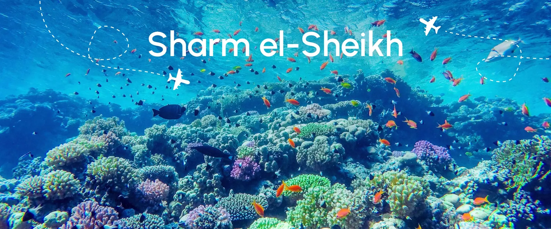 sharm